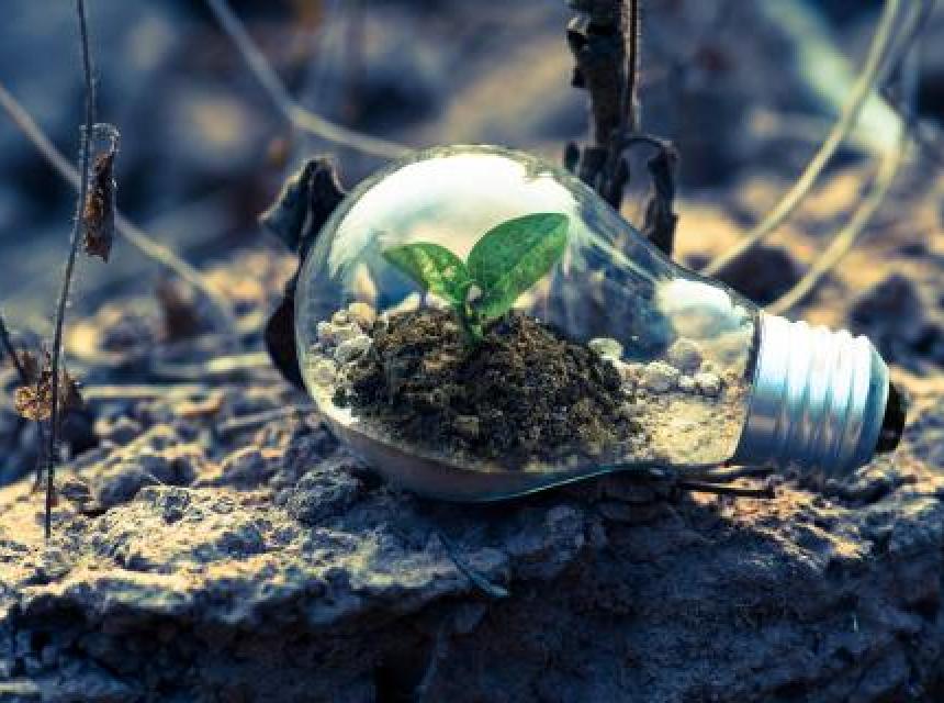 Green Jobs